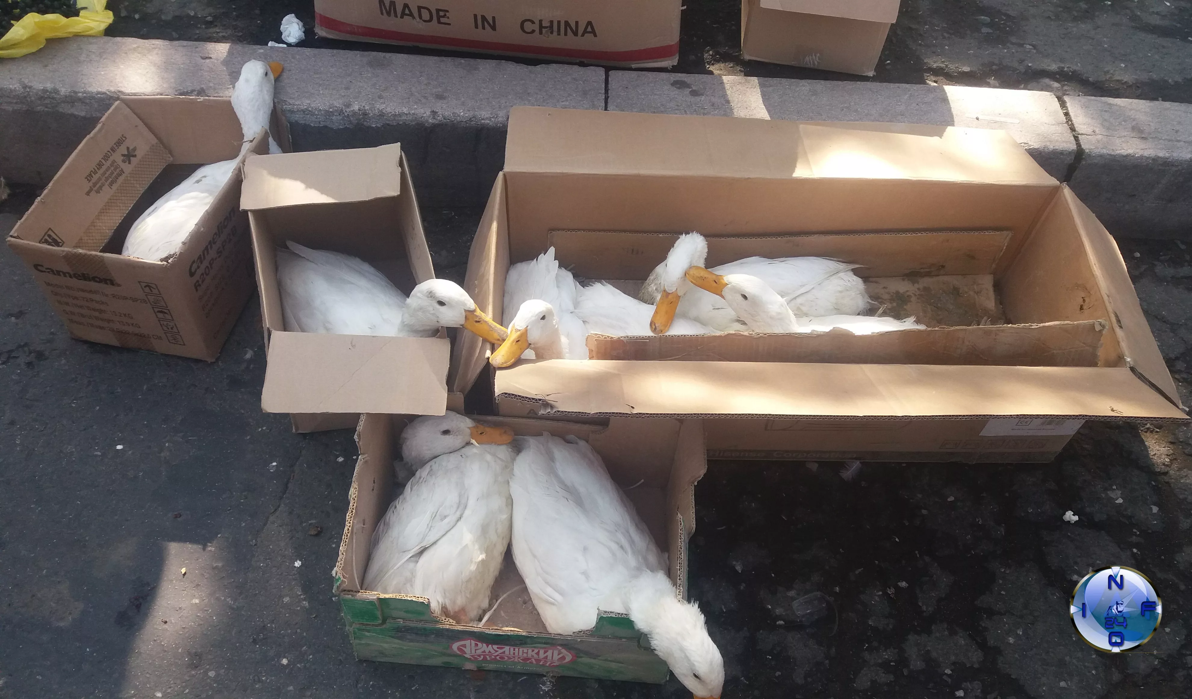 В Степанакерте стартовала ежегодная ярмарка сельскохозяйственной продукции